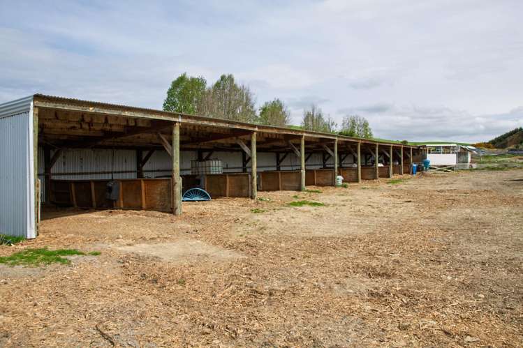 1932 Geraldine Fairlie Highway Kakahu_10