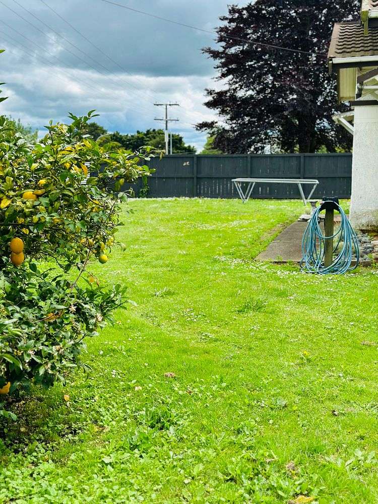 95 Morrinsville-Walton Road Morrinsville_6