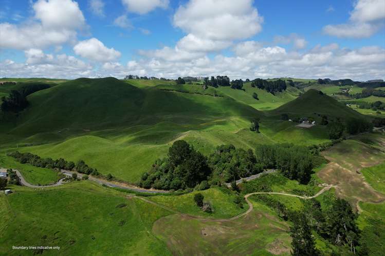1911 Tutukau Road Wairakei and Surrounds_11