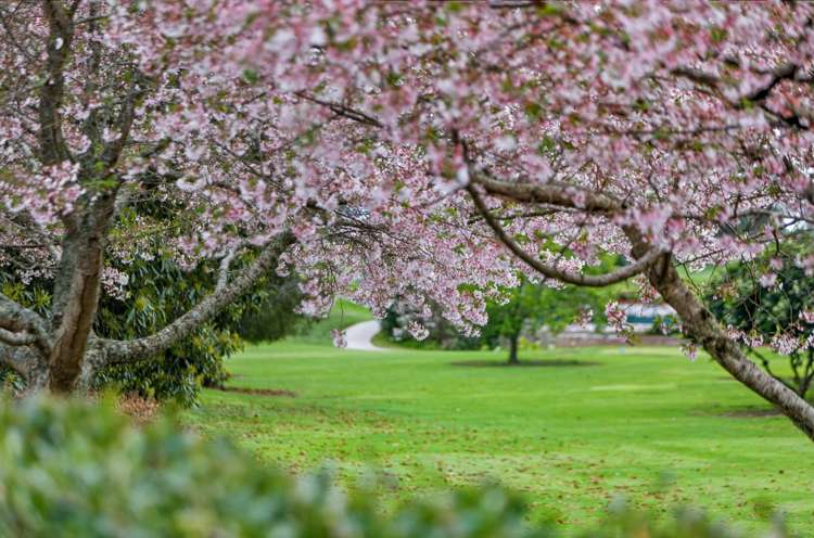 10 Serenity Drive Omokoroa_27