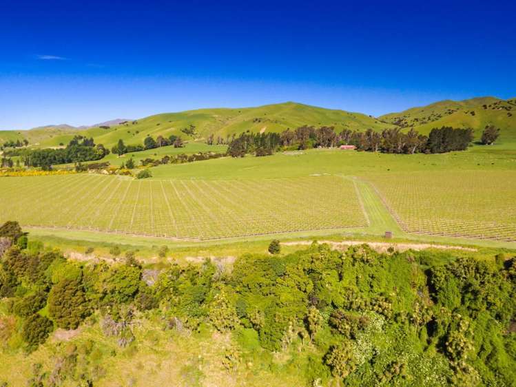 35 Welds Hill Road Awatere Valley_5