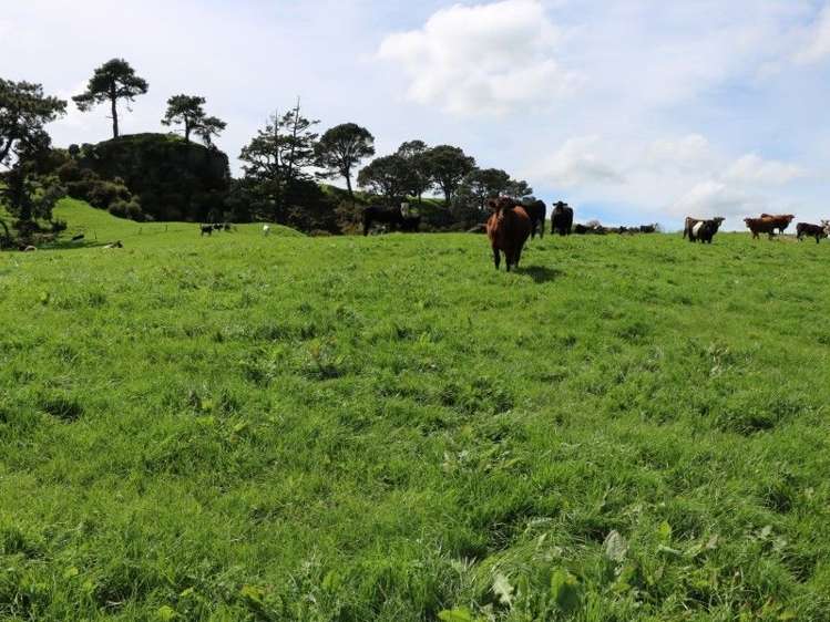 196 Hildreth Road Arapuni_12