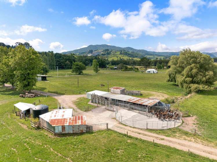 50 Franklin Road Waihi_19