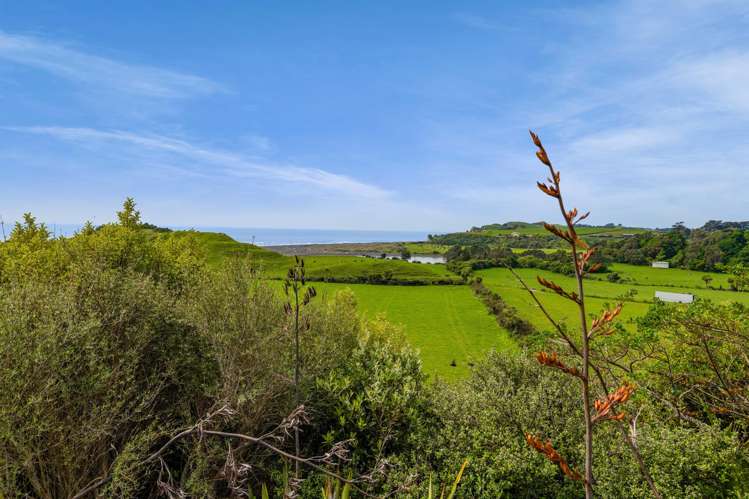 78A Waitoetoe Road Urenui_36