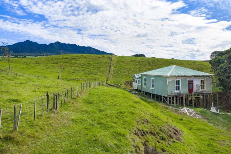 62 Cornes Road Raglan_8