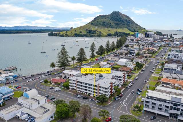 103/36 Victoria Road Mount Maunganui_2