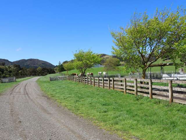 Lot 2/98 Millstream Road Dannevirke_4