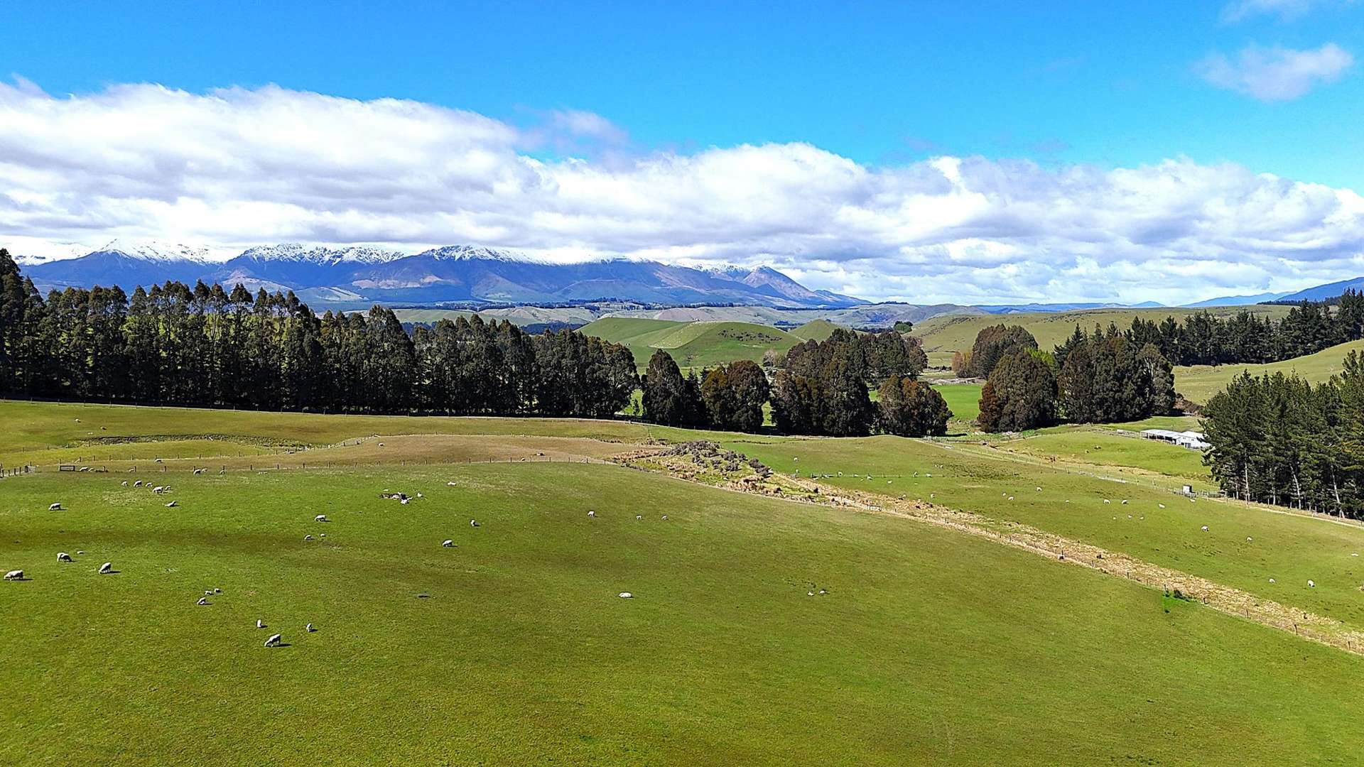 657 Ramparts Road Te Anau_0