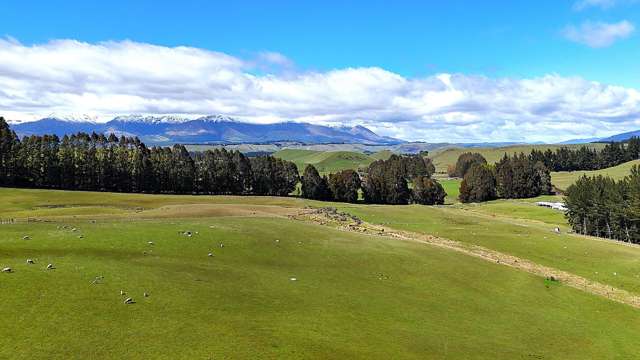 Well Presented Small Farm