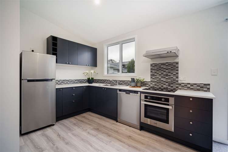 9 Dick Street South Dunedin_8