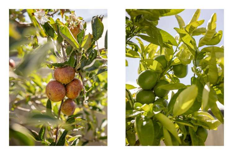 4 Pinkerton Place Ohauiti_17