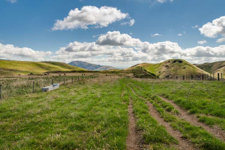 Mangleton Road Central Hawkes Bay Country_10