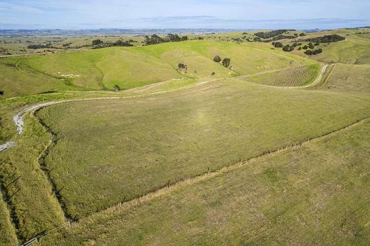 Parahi Road Ruawai_11