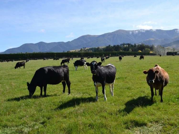 453 Woodside Road Oxford_20