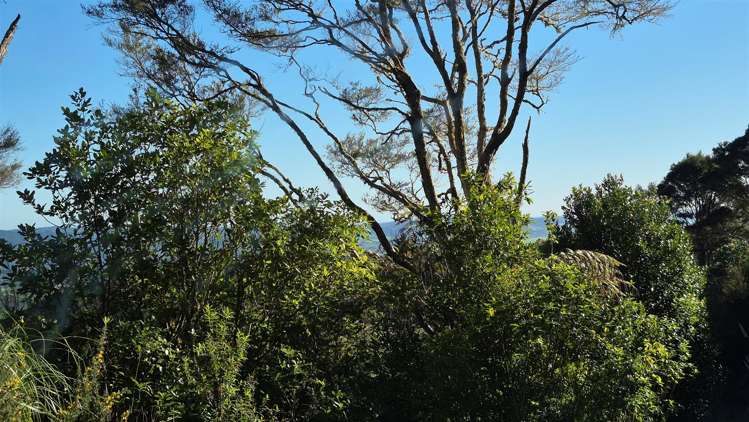 460 Otau Mountain Road Clevedon_12