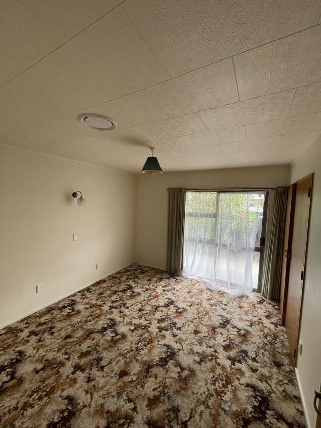 101 Stanford Street Ashhurst_4