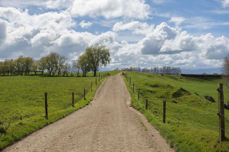 180 Cameron Road Morrinsville_16