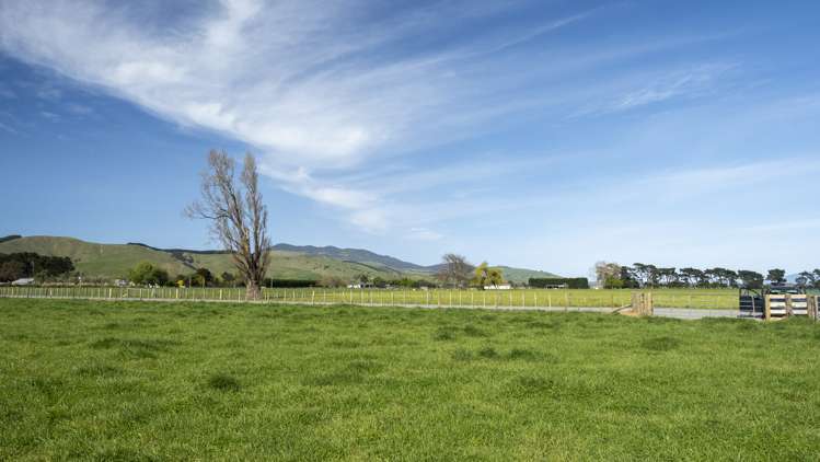 Chishams Road Martinborough_5