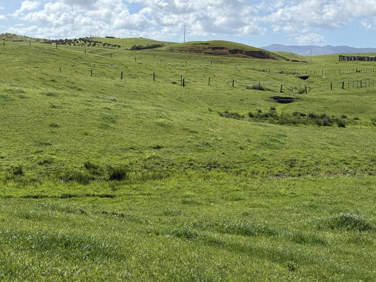 Sandhills Road Ahipara_15