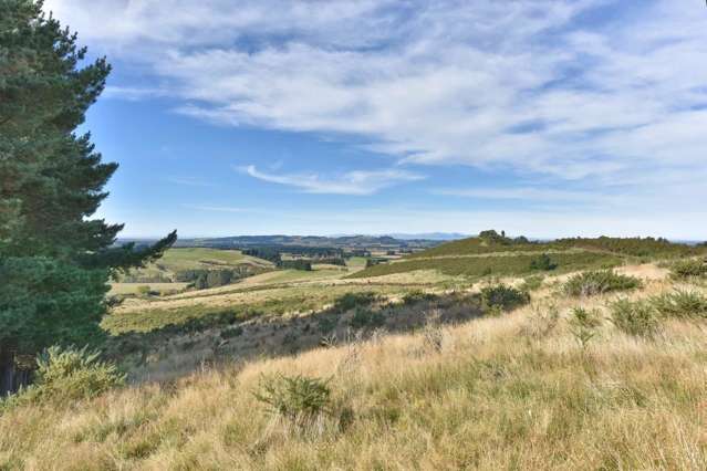 1588 Birch Hill Road Glentui_3