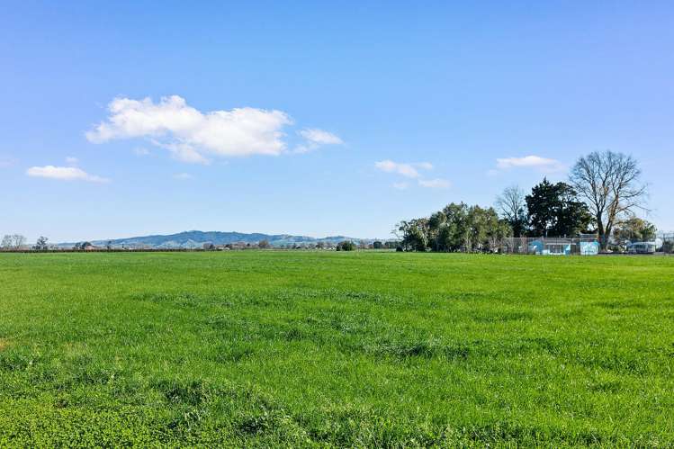 No 1 Road Morrinsville_2