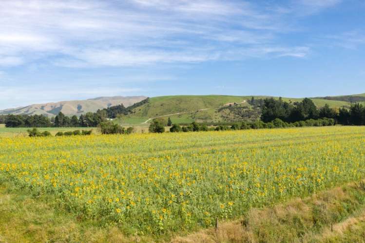 793 Peel Forest Road Mesopotamia_3