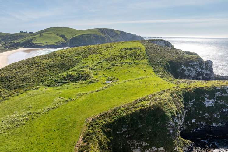 Cannibal Bay Rd Catlins Surrounds_7