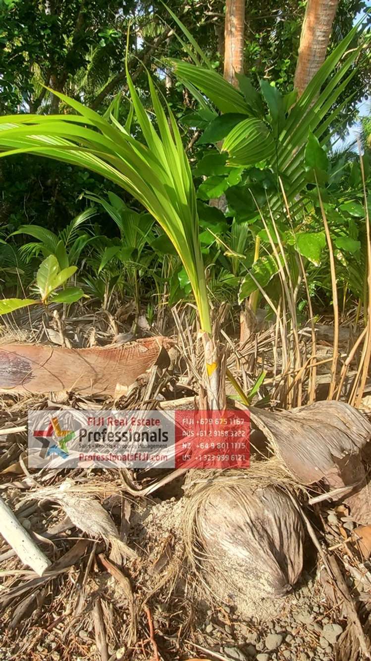Address withheld Savusavu_15