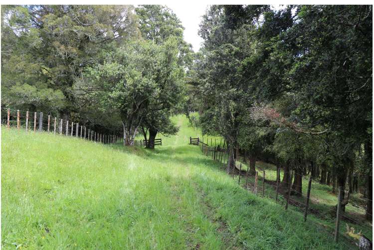 25 Gully Road Pukemiro_2