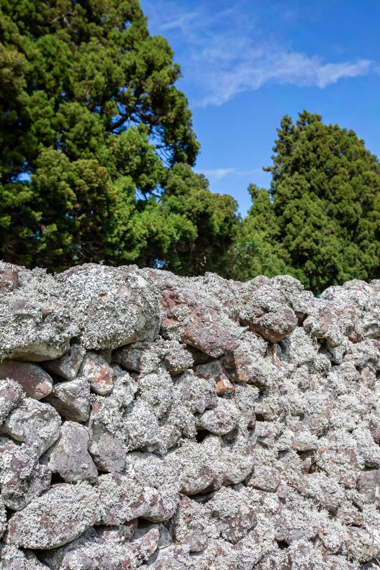 Lots 1-3/31 Millington Road Maunu_21