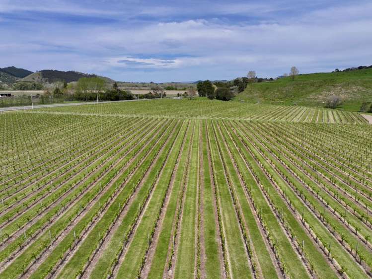 2057 Matawai Road Te Karaka_13