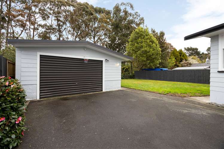 23 Fitzroy Avenue Fitzroy_17