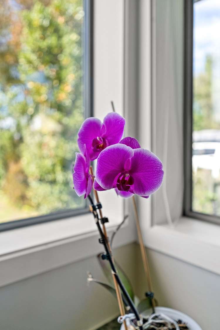 434 Halswell Road Halswell_22