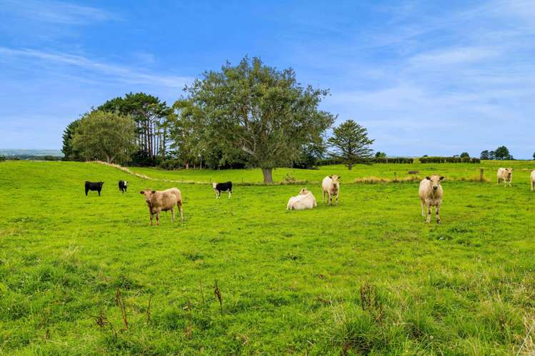 565 Climie Road Cardiff_15