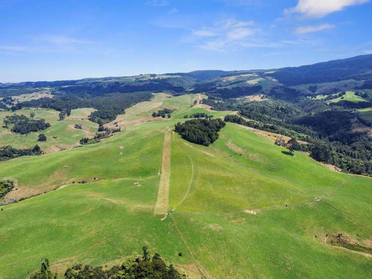 870 Mangati Road Pirongia_34
