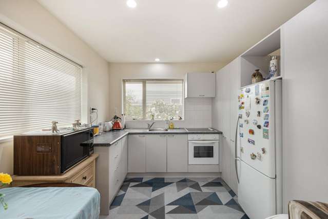 22d Simeon Street Spreydon_2