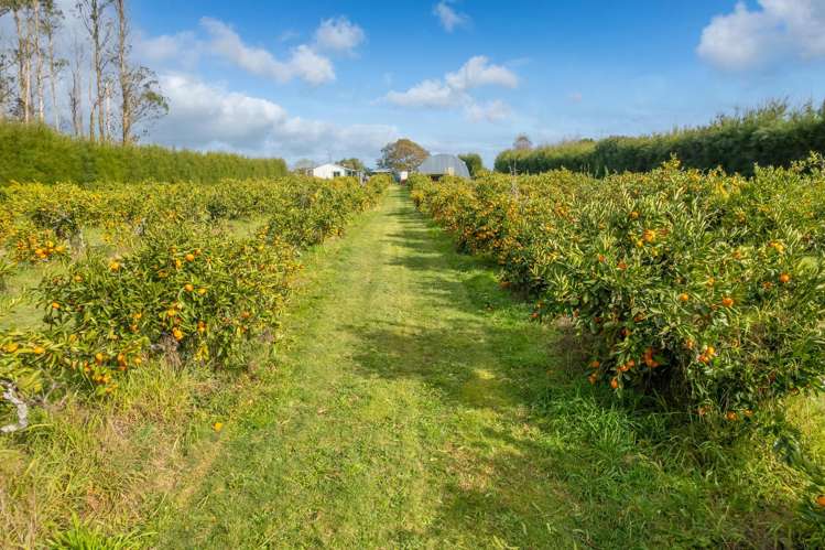 32 Ohinewai Road Ohinewai_6