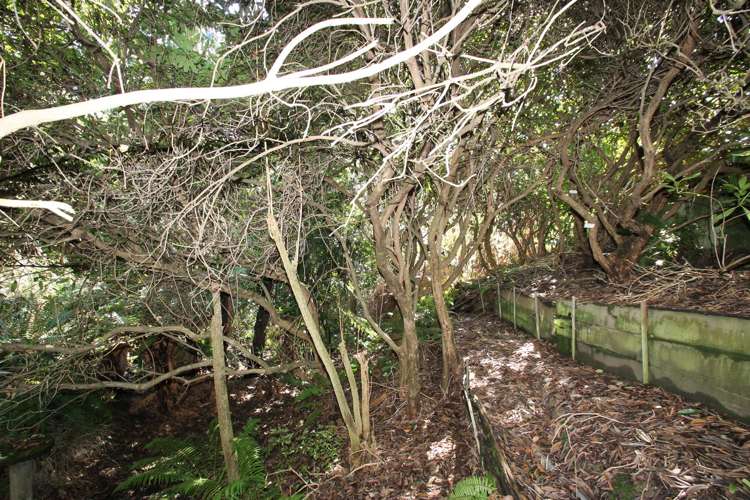 63 Martin Road Fairfield_14