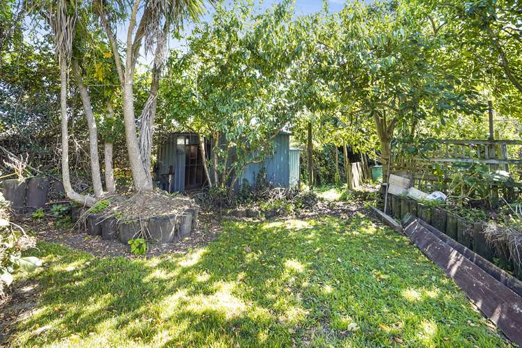 86 Ellicott Road Nawton_18