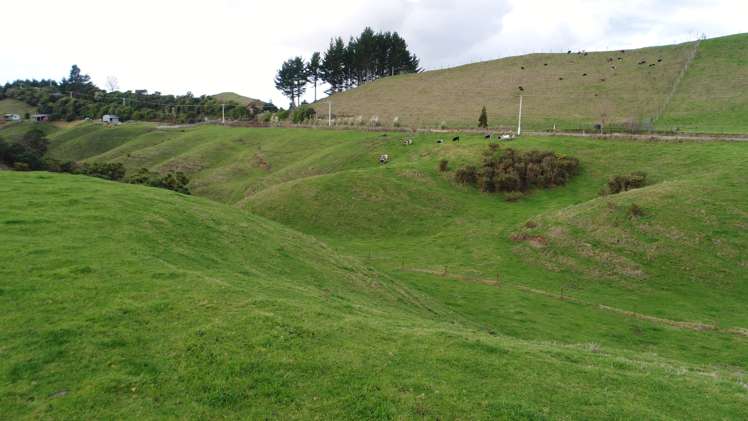 716 Maungarangi Road Paengaroa_18