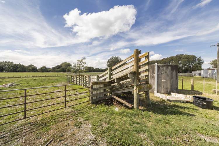 422 Kairanga Bunnythorpe Road Bunnythorpe_22