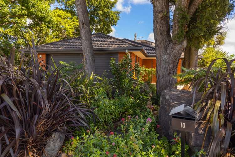 10 Stephenson Street Blenheim Central_19