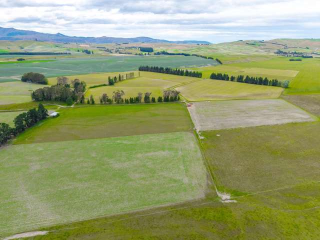 311 Hamilton Road Fairlie_4