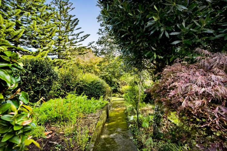 28 Huatoki Street Vogeltown_16