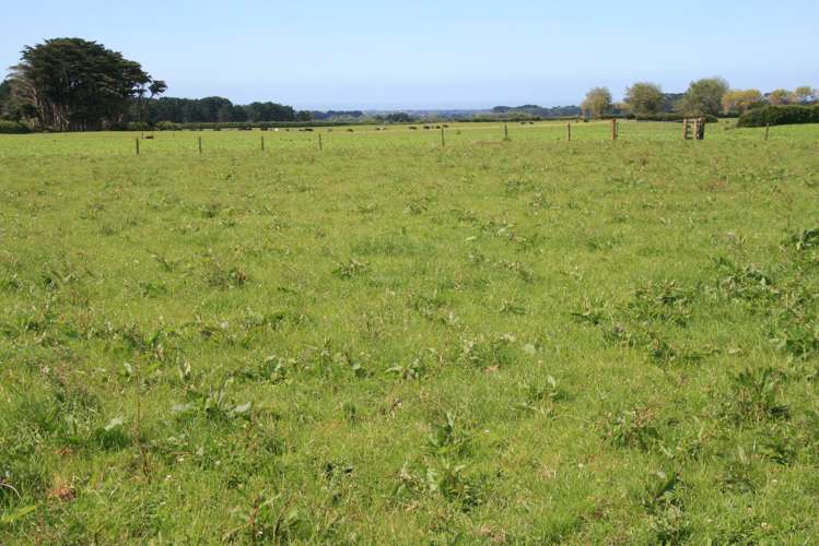 1641 Eltham Road Kaponga_21