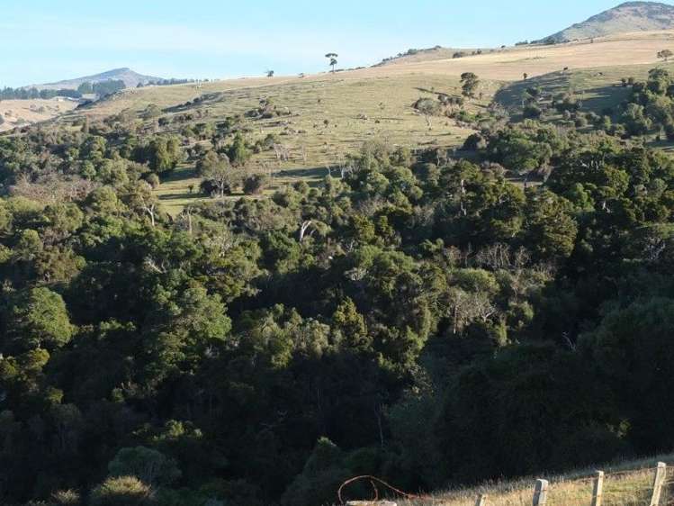 831 Chorlton Road Little Akaloa_14