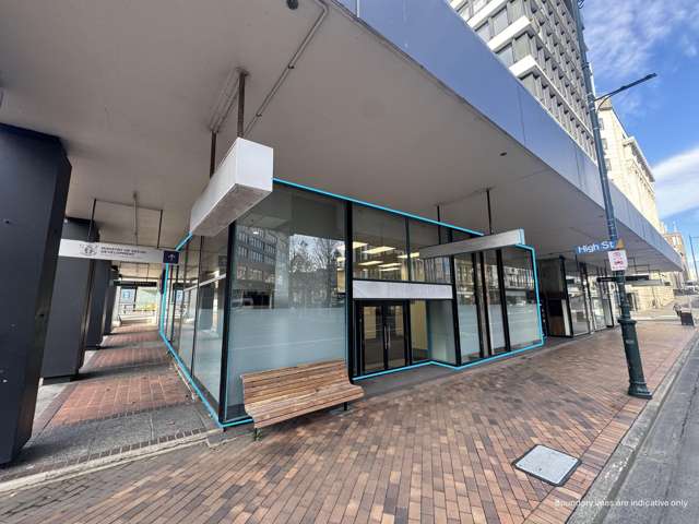 1/265 Princes Street City Centre Dunedin_1
