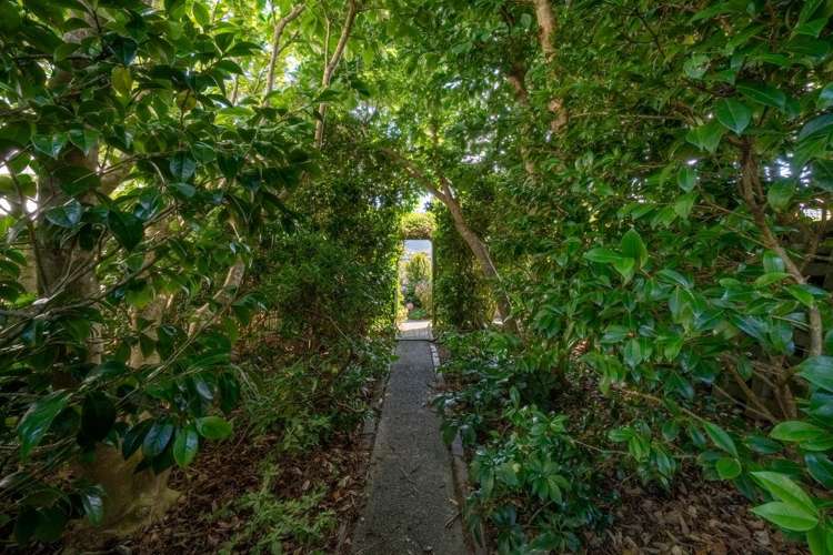 8 Makatote Grove Churton Park_25