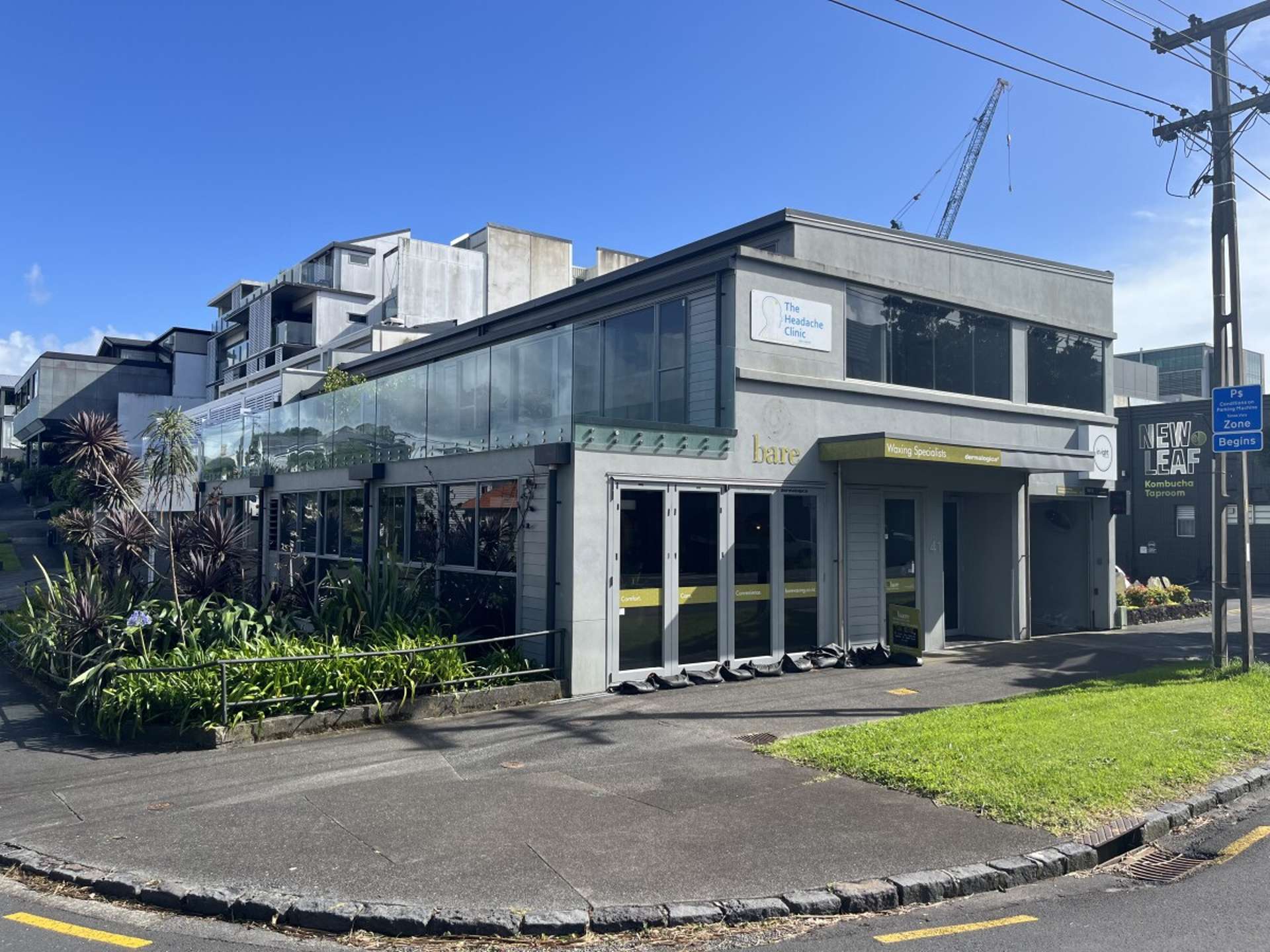 41c Crummer Road Grey Lynn_0