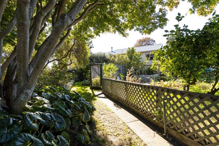 8 Whitney Street Blenheim Central_37